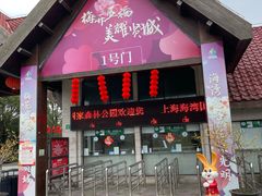 -上海海湾国家森林公园