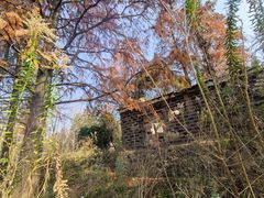 -南京市无想山景区