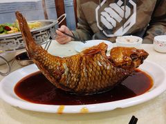 挣蹦鲤鱼-奥华餐厅·老张记(台基厂店)