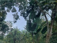 -海南热带野生动植物园