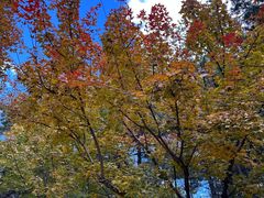 -云峰山自然风景区