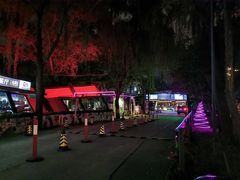 -枫花园汽车电影院(朝阳公园店)