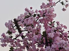 -钟山体育运动公园