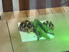 -宁波野生动物园