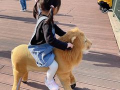 -蒙特利亲子乐园