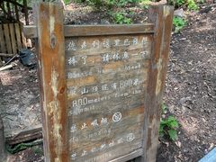 -帽儿山风景区