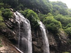-陕西省红河谷森林公园