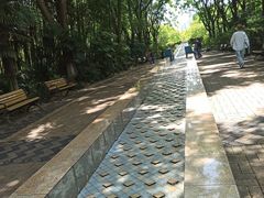 -苏州河梦清园环保主题公园