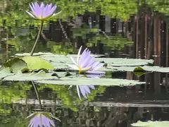 -云溪植物园