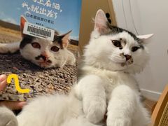 -广州市白云区图书馆