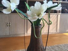 -帐篷客·溪龙茶谷度假酒店