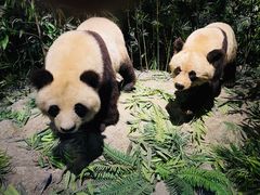 -武汉园博园(武汉自然博物馆)