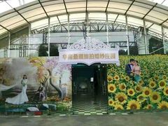 -广州花之恋城堡酒店