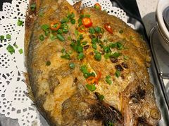 -九府羊·鲜羊火锅·烤串(新华路店)