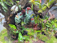 -北京植物园-展览温室