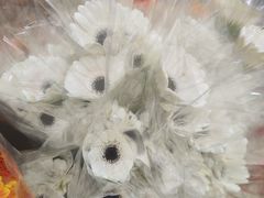 -循礼门鲜花花市(武汉循礼门店)