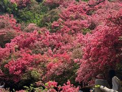 -木兰云雾山