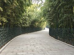 -红螺寺