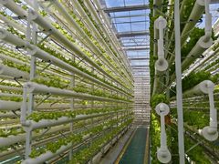 -兰陵国家农业公园