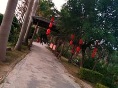 -揭东万竹园旅游景区