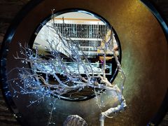 -红辣椒·川菜·火锅(张杨路店)