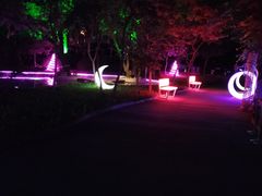 -枫花园汽车电影院(朝阳公园店)