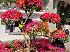 -广州市白云山风景名胜区