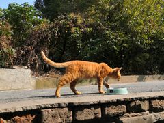 -南京特殊教育师范学院(燕子矶校区)