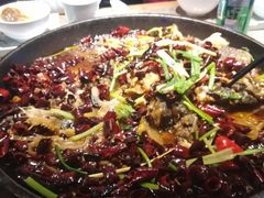 -老板恋上鱼(恒隆广场店)