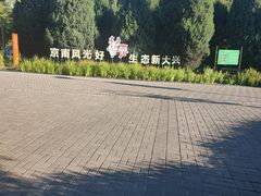 -大兴滨河森林公园