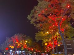-大唐不夜城