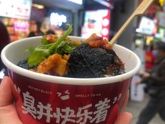 -黑色经典臭豆腐·湖南特产(太平街口店)