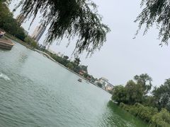 -莱西月湖公园