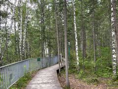 -峡谷浮石林景区