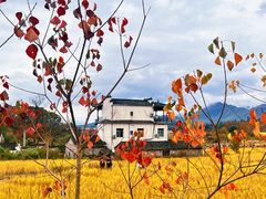 -塔川景区