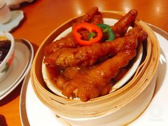 -广州富力君悦大酒店空中花园
