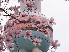 -东方明珠广播电视塔