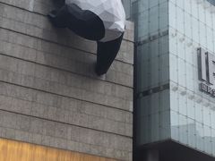 -夫妻肺片·中华老字号·正宗川菜(春熙路店)