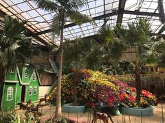 -北京呀路古热带植物园