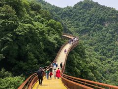 -少华山国家森林公园