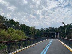 -飞凤山奥体公园