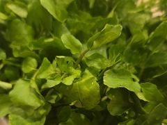 -丫丫汤膳打边炉(宏府408坊店)