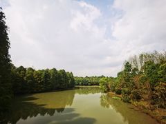 -上海海湾国家森林公园