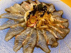 薄切鲷鱼-富山日式料理(宽厚里店)