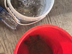 -粮心小农·大头虾亲子生态园(长发店)