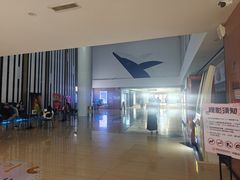 -幸福蓝海国际影城(河西店)