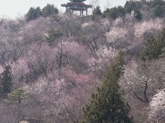 -白水寺森林公园