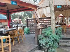 -二荆条·蜀鲜汇城市森林火锅