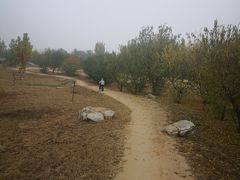-兴安湖生态运动公园