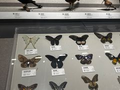 -四川大学博物馆
